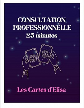 CONSULTATION PROFESSIONNELLE