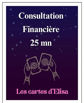 CONSULTATION FINANCIÈRE